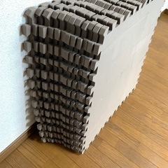 ②大きめマットパズル12枚の画像