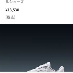 代理　ナイキ　バスケットシューズの画像