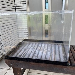 600×500×450　アクリル水槽　板厚6mm　60cm