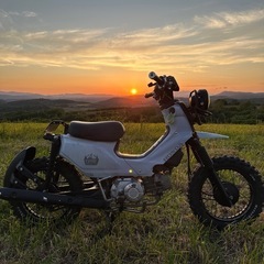 🌲スーパーカブ110PRO🏕️オフロード仕様🦌の画像