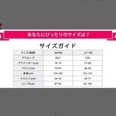 【新品】エンジェルルナ ワンピース水着 Lの画像