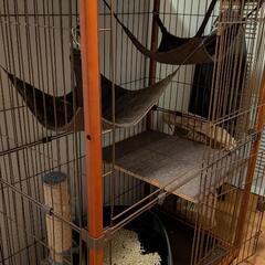 キャットゲージの画像