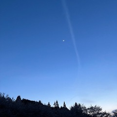 ソロキャン仲間