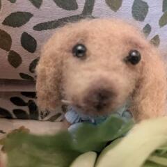 No.④可愛い💖羊毛フェルトセット電池で動く子犬（籠付き）の画像