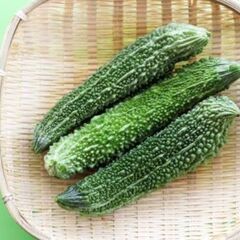 ゴーヤ　収穫アルバイト　パートの画像