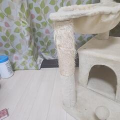 (お取引中)キャットタワー中古の画像