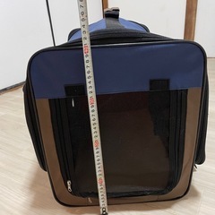 折り畳めるペット用キャリーバッグ