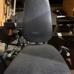 GYM80 レッグエクステンションの画像