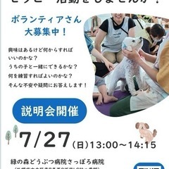 わんちゃん・猫ちゃんと一緒にセラピー活動をしませんか？ーボランテ...
