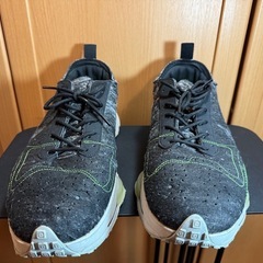 【NIKE】Air Zoom-Type N.354 30cmの画像