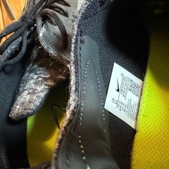 【NIKE】Air Zoom-Type N.354 30cmの画像