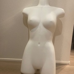 28日まで★トルソー縦約70cm ハンガー　マネキン の画像