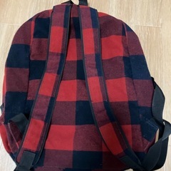 アウトドアチェックリュックの画像