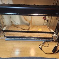 爬虫類ケージ