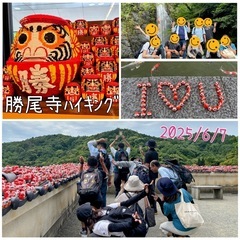 ウォーキング＆軽いハイキングのメンバー募集