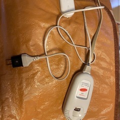 韓国製エステ ヒートマット　電気マットの画像