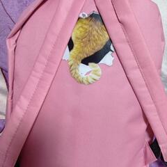 とびだし！にゃんこリュック　ピンクの画像