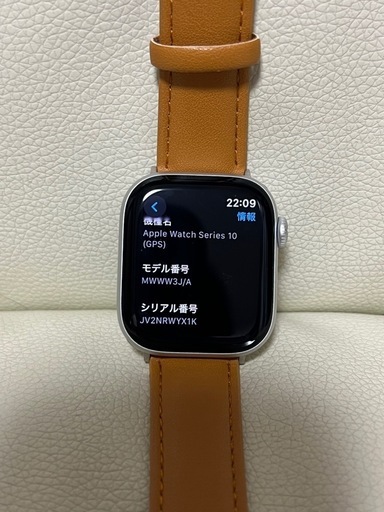 極上品　Apple Watch series 10 GPSモデル　42mm シルバー