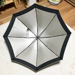 日傘 黒の画像