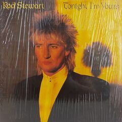 ロッド・スチュワート/Rod Stewart　LPレコード4枚セットの画像