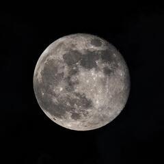 星撮り仲間募集