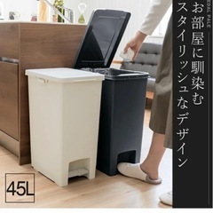 45リットル　ゴミ箱
の画像