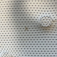 Dual  pocket high grade マットレス（ダブル
）の画像