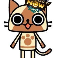 🐱MHNow愛知かも