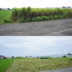 【自走式草刈機(ハンマーナイフモア)を使用して草刈り作業を致します】 - 出雲市