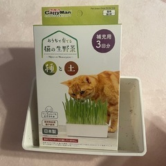 猫 キャティーマン 猫草 生野菜 栽培キット 