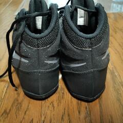 28センチ（10.5）くらい　NIKE　ボクシングシューズの画像