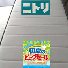 初夏のビックセール！ニトリ Nスリープ ハード03 VB シング...