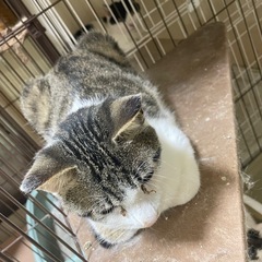 おっとり落ち着いている男の子？💦