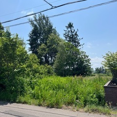 売地・売土地・宅地の画像