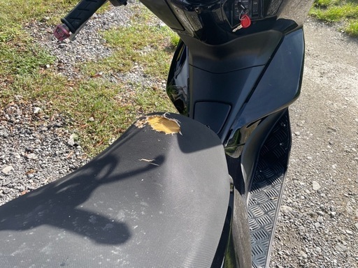 ‼️PCX56自賠責あり‼️多数のお問い合わせありがとうございました｡購入者決まりました