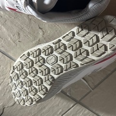 ミズノ　安全靴の画像