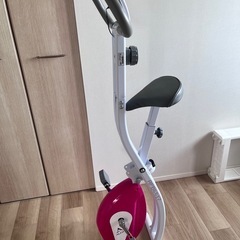 【一旦受付停止】アルインコ(ALINCO) フィットネスバイク エアロバイクAFB4417X の画像