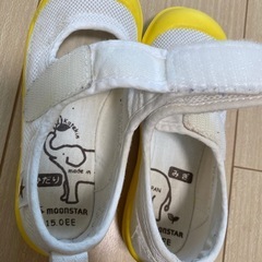 15cmうわばきの画像