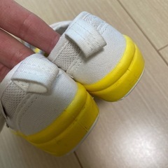 15cmうわばきの画像