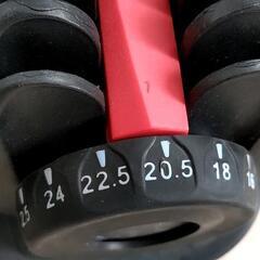 BATENA(バテナ) 可変式ダンベル 24kg アジャスタブルダンベル 15段階調整の画像