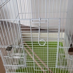 イージーホーム37 インコ　バードケージの画像