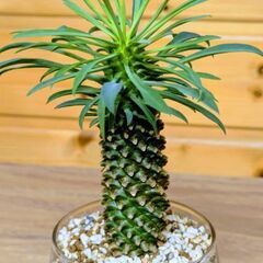 これからの時期に
