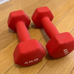 4キロダンベル×2本の画像
