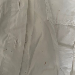 👚短丈白シャツ　Mサイズ　２点の画像