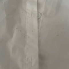 👚短丈白シャツ　Mサイズ　２点の画像