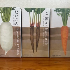 野菜栽培キット
