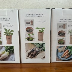 野菜栽培キットの画像