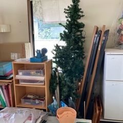 引取限定　早い方優先　クリスマスツリーの画像