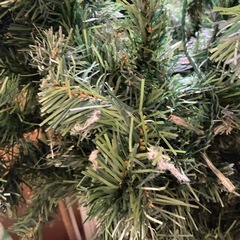 引取限定　早い方優先　クリスマスツリーの画像