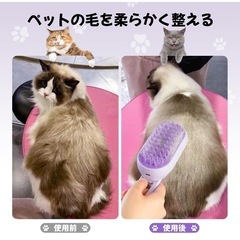 猫ブラシの画像